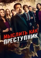 Мыслить как преступник смотреть онлайн сериал 1-15 сезон