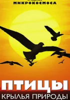  Птицы: Крылья природы (2002) смотреть онлайн в HD