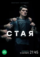  Стая (2022) смотреть онлайн в HD
