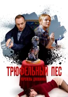  Трюфельный пес королевы Джованны смотреть онлайн сериал 2017 в HD