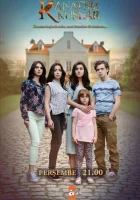  Птицы без крыльев смотреть онлайн сериал 2017 в HD