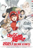  Работа клеток Клетки за работой смотреть онлайн аниме сериал 2018 в HD