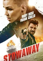  Безбилетный пассажир смотреть онлайн фильм 2021 в HD