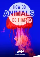  Удивительный мир животных смотреть онлайн тв шоу 2019 в HD