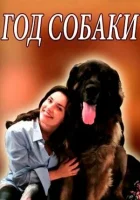  Год собаки смотреть онлайн сериал 2018 в HD