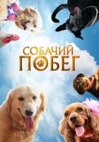 Собачий побег смотреть онлайн фильм 2023 в HD