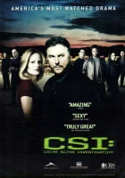  CSI: Место преступления Лас-Вегас смотреть онлайн сериал 2000 в HD