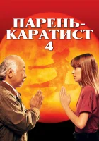  Парень каратист 4 смотреть онлайн фильм 1994 в HD