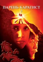  Парень-каратист 3 смотреть онлайн фильм 1989 в HD