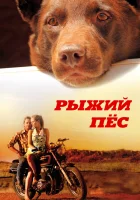  Рыжий пес смотреть онлайн фильм 2011 в HD