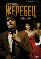  Жеребец смотреть онлайн фильм 1978 в HD