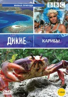  BBC: Дикие Карибы смотреть онлайн тв шоу 2007 в HD