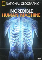  Невероятное тело человека смотреть онлайн фильм 2007 в HD