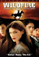  Дикий огонь Вайлдфайр смотреть онлайн сериал 2005 в HD