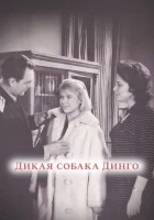  Дикая собака динго смотреть онлайн фильм 1962 в HD