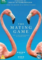  Брачная Игра (2021) смотреть онлайн в HD