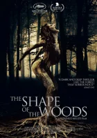  Форма леса смотреть онлайн фильм 2021 в HD