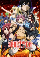  Сказка о хвосте феи Фейри Тейл / Хвост Феи смотреть онлайн аниме сериал 2009 в HD