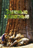  Зелёные животные смотреть онлайн тв шоу 2015 в HD