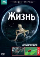  BBC: Жизнь смотреть онлайн тв шоу 2009 в HD