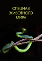  Спецназ животного мира смотреть онлайн тв шоу 2018 в HD