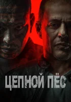  Цепной пёс Цербер смотреть онлайн фильм 2024 в HD