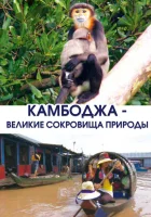 Камбоджа - великие сокровища природы смотреть онлайн тв шоу 2013 в HD