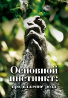  Основной инстинкт. Продолжение рода смотреть онлайн тв шоу 2021 в HD