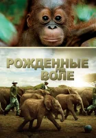  Рожденные на воле смотреть онлайн фильм 2011 в HD