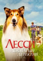  Лесси - лохматый детектив смотреть онлайн фильм 2023 в HD