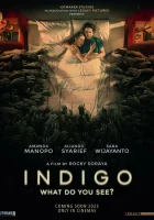  Индиго смотреть онлайн фильм 2023 в HD