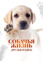  Собачья жизнь: Друзья навек смотреть онлайн фильм 2023 в HD