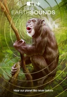  Звуки Земли смотреть онлайн тв шоу 2024 в HD