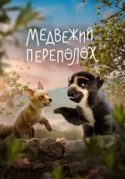  Медвежий переполох смотреть онлайн мультфильм 2023 в HD