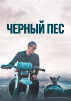  Чёрный пёс смотреть онлайн фильм 2024 в HD