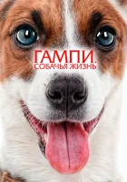  Гампи. Собачья жизнь смотреть онлайн фильм 2024 в HD