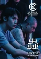  Саранча смотреть онлайн фильм 2024 в HD