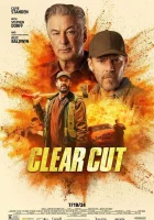  Чёткий разрез смотреть онлайн фильм 2024 в HD