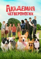  Академия четвероногих смотреть онлайн фильм 2024 в HD