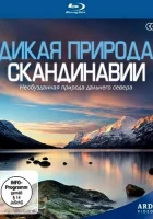  Дикая природа Скандинавии смотреть онлайн тв шоу 2011 в HD