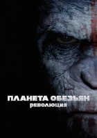  Планета обезьян: Революция смотреть онлайн фильм 2014 в HD