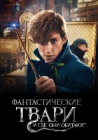  Фантастические твари и где они обитают смотреть онлайн фильм 2016 в HD