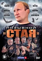  Позывной «Стая» смотреть онлайн сериал 2013 в HD