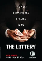  Лотерея смотреть онлайн сериал 2014 в HD