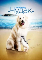 По кличке «Чудак» Чудак смотреть онлайн фильм 2015 в HD