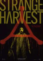  Странный урожай смотреть онлайн фильм 2024 в HD