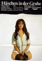  Заяц в норе смотреть онлайн фильм 1969 в HD