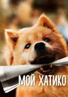 Мой Хатико Hachiko смотреть онлайн фильм 2023 в HD